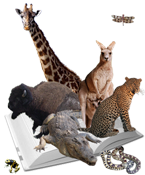 animal books